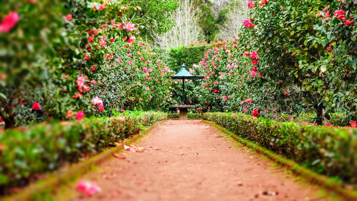A flowering garden path in full bloom