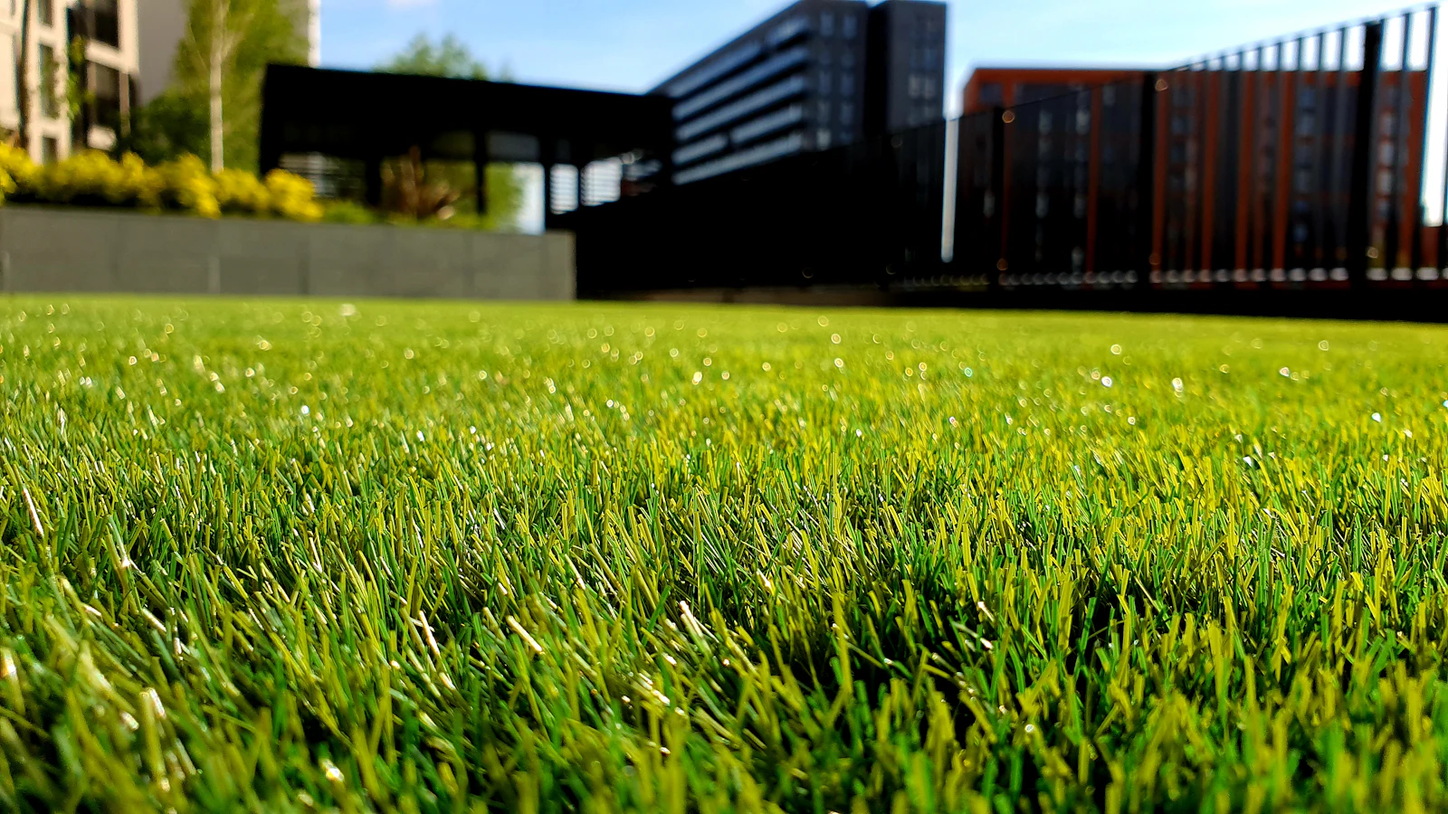 Neatly mowed green lawn with clean edges
